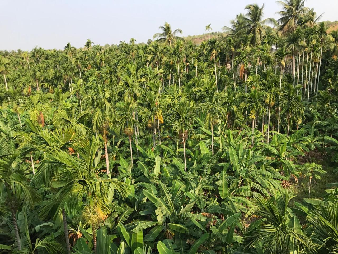 Mui Ne Alena Hotel Phan Thiet Kültér fotó